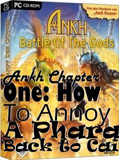 Box art for Ankh