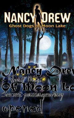 Box art for Nancy Drew - Ghost Dogs Of Moon Lake