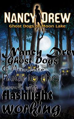 Box art for Nancy Drew - Ghost Dogs Of Moon Lake