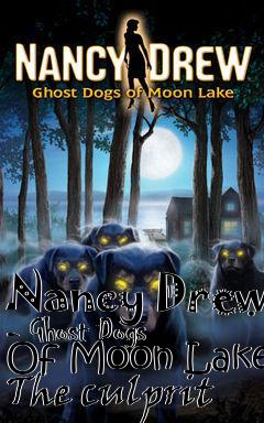 Box art for Nancy Drew - Ghost Dogs Of Moon Lake