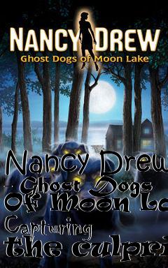 Box art for Nancy Drew - Ghost Dogs Of Moon Lake