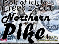 Box art for Nancy Drew: The White Wolf of Icicle Creek