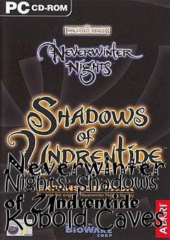 Box art for Neverwinter Nights: Shadows of Undrentide