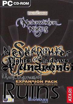 Box art for Neverwinter Nights: Shadows of Undrentide