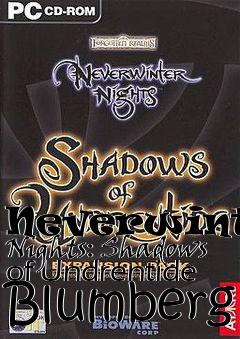 Box art for Neverwinter Nights: Shadows of Undrentide