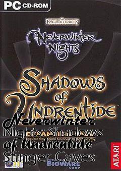 Box art for Neverwinter Nights: Shadows of Undrentide