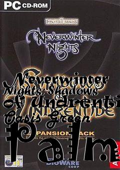 Box art for Neverwinter Nights: Shadows of Undrentide