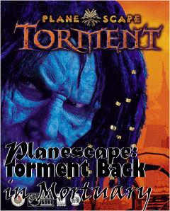 Box art for Planescape: Torment