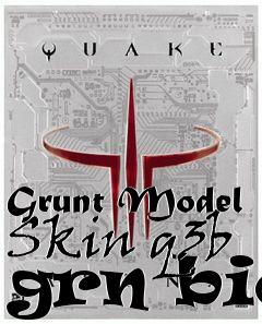 Box art for Grunt Model Skin q3b grn bio