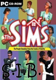 Box art for S.I.B.