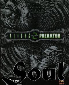 Box art for Soul