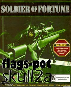 Box art for flags-pot skull2a