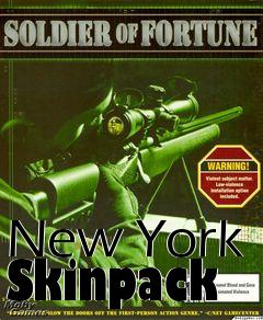 Box art for New York Skinpack