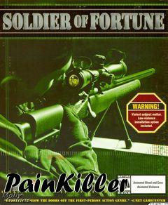 Box art for PainKiller