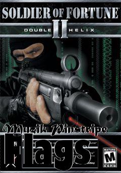 Box art for Muzik Pinstripe Flags