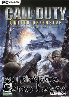 Box art for [40] BigNastys Camo Faces