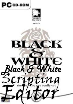 Box art for Black & White Scripting Editor