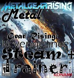 Box art for Metal
              Gear Rising: Revengeance Steam +12 Trainer