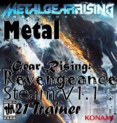 Box art for Metal
              Gear Rising: Revengeance Steam V1.1 +21 Trainer