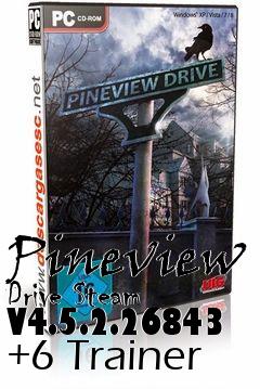 Box art for Pineview
Drive Steam V4.5.2.26843 +6 Trainer