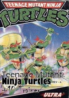 Box art for Teenage
Mutant Ninja Turtles +10 Trainer