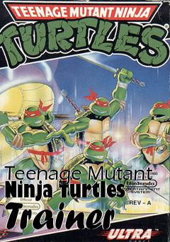 Box art for Teenage
Mutant Ninja Turtles Trainer