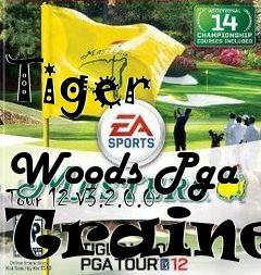 tiger woods pga tour 12 pc reloaded tiger woods pga tour 12 pc reloaded