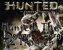 Box art for Hunted:
The Demons Forge +12 Trainer