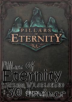 Box art for Pillars
Of Eternity Steam V1.03.0530 +30 Trainer