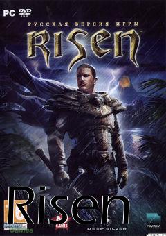 Box art for Risen