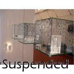 Box art for Suspended