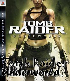 Box art for Tomb Raider Underworld