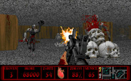 Wolfenstein 3D Brutal Death Dealer of Annihilation 3D v.1.0 mod screenshot