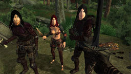 Elder Scrolls IV: Oblivion CM Partners Mod v.2.0 mod screenshot