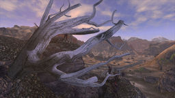 Fallout: New Vegas Dead Wastleland Flora Overhaul v.2.9b mod screenshot