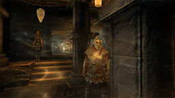 The Elder Scrolls V: Skyrim The Iron Lass v.1.20 mod screenshot