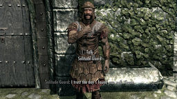 The Elder Scrolls V: Skyrim Guard Dialogue Overhaul v.1.4 mod screenshot