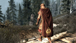 The Elder Scrolls V: Skyrim Cloaks of Skyrim v.1.2 mod screenshot