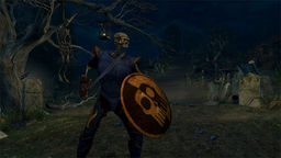 The Elder Scrolls V: Skyrim MediEvil- Hero of Gallowmere v.1.1Beta mod screenshot
