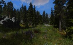 The Elder Scrolls V: Skyrim Skyrim Flora Overhaul v.2.5b mod screenshot