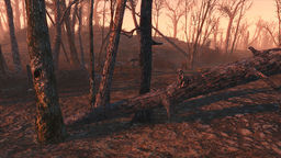 Fallout 4 Vivid Fallout Trees � Best Choice v.1.1 mod screenshot