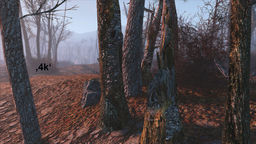 Fallout 4 Vivid Fallout Trees - 4k v.1.1 mod screenshot