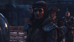 The Elder Scrolls V: Skyrim - Special Edition Unlimited Followers v.3.06b mod screenshot