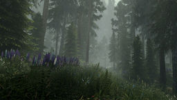 The Elder Scrolls V: Skyrim - Special Edition Skyrim Flora Overhaul SE v.2.72a mod screenshot